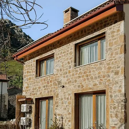 42 Grados Norte Vadinia Dağ evi *
