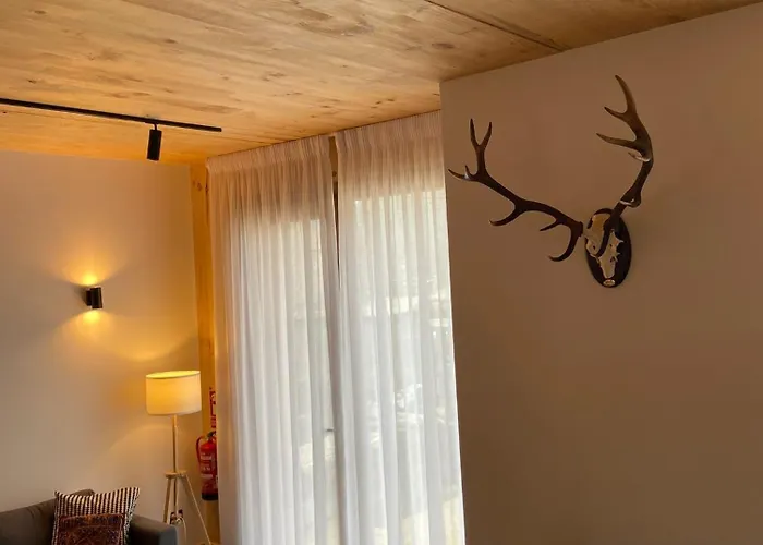 42 Grados Norte Vadinia Besande